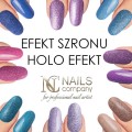 Efekt Holo Szronu.jpg