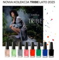 Newsletter_Kinetics_czerwiec_202.jpg