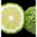 6043a1556a7f98c713fd04ad4d08c3f4