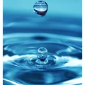 a2770a54ce63ad527ac7f90ad0da9bd5