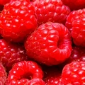 42ad06380ed84134a375e247bfdbb2bb